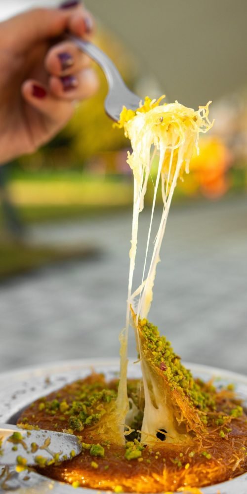 pexels mehmetakifarts 19559293